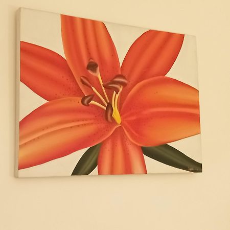 Appartement Croisette Sainte-Maxime Eksteriør billede